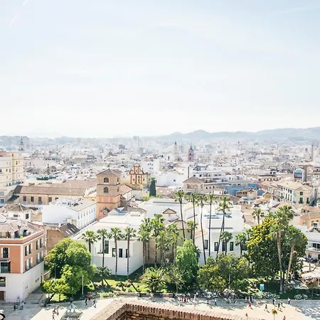 Homely Felix Saenz Malaguese * Malaga