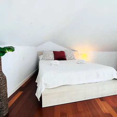 Apartament Homely Felix Saenz Malaguese