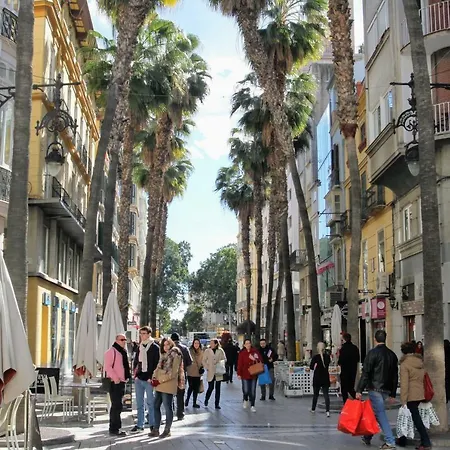 Homely Felix Saenz Malaguese Malaga